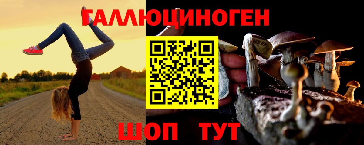 Псилоцибиновые грибы Psilocybe  Вход с VPN  Валуйки 
