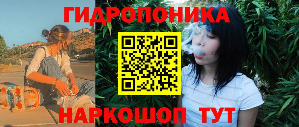 Бошки Шишки AK-47  Бошки Шишки план  Шишки марихуана сатива  Канабис планчик  Валуйки  Вход с VPN 